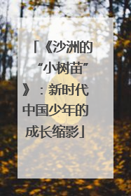 《沙洲的“小树苗”》：新时代中国少年的成长缩影