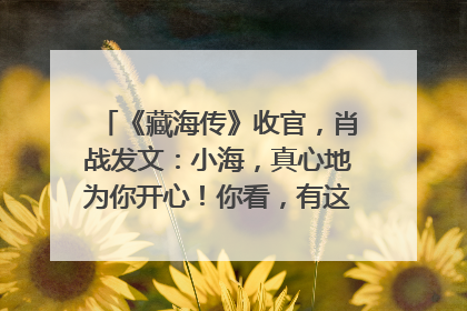 《藏海传》收官，肖战发文：小海，真心地为你开心！你看，有这么多人懂你！