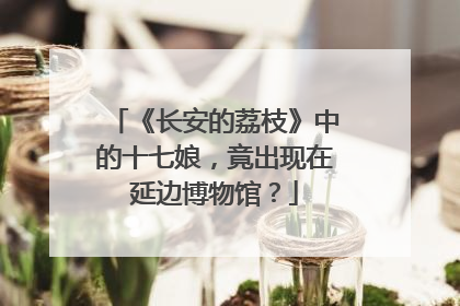 《长安的荔枝》中的十七娘，竟出现在延边博物馆？