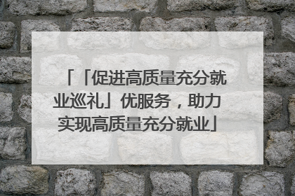 「促进高质量充分就业巡礼」优服务，助力实现高质量充分就业