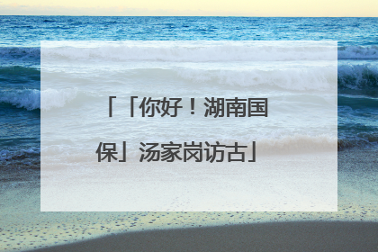 「你好！湖南国保」汤家岗访古