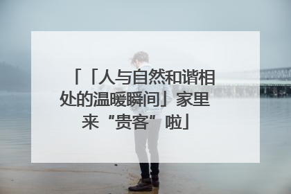 「人与自然和谐相处的温暖瞬间」家里来“贵客”啦