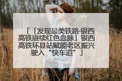 「发现最美铁路·银西高铁赓续红色血脉」银西高铁环县站赋能老区振兴驶入“快车道”