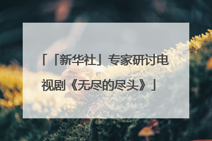 「新华社」专家研讨电视剧《无尽的尽头》