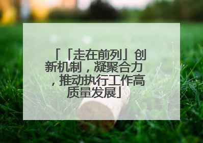 「走在前列」创新机制，凝聚合力，推动执行工作高质量发展