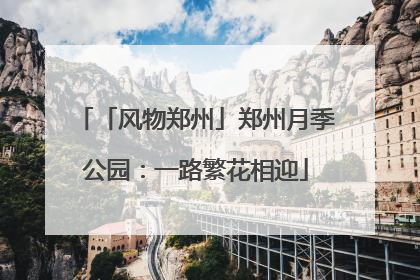 「风物郑州」郑州月季公园：一路繁花相迎