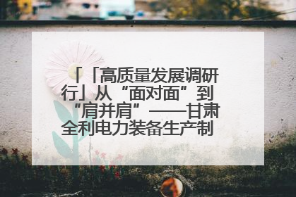「高质量发展调研行」从“面对面”到“肩并肩”——甘肃全利电力装备生产制造项目一线见闻