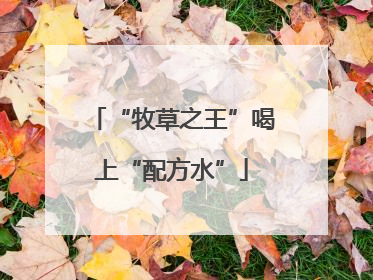 “牧草之王”喝上“配方水”