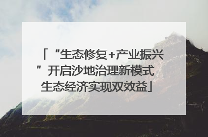 “生态修复+产业振兴”开启沙地治理新模式 生态经济实现双效益