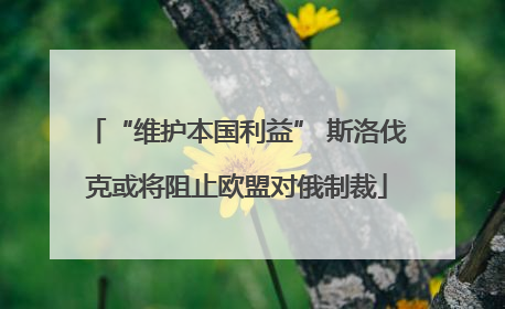 “维护本国利益” 斯洛伐克或将阻止欧盟对俄制裁