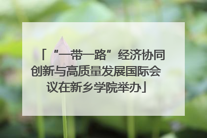 “一带一路”经济协同创新与高质量发展国际会议在新乡学院举办