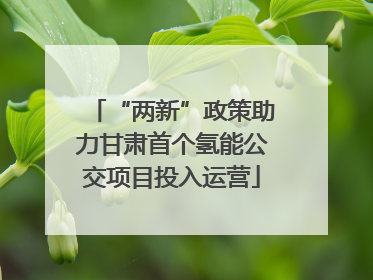 “两新”政策助力甘肃首个氢能公交项目投入运营