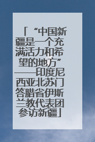 “中国新疆是一个充满活力和希望的地方”——印度尼西亚北苏门答腊省伊斯兰教代表团参访新疆