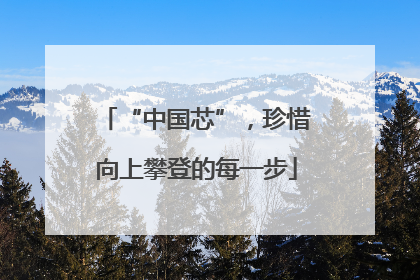 “中国芯”，珍惜向上攀登的每一步