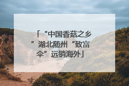 “中国香菇之乡”湖北随州“致富伞”远销海外