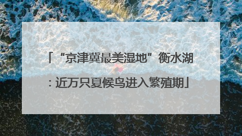 “京津冀最美湿地”衡水湖：近万只夏候鸟进入繁殖期