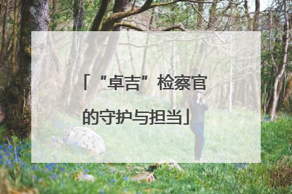 “卓吉”检察官的守护与担当