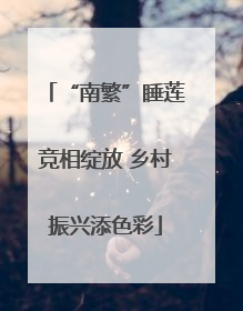 “南繁”睡莲竞相绽放 乡村振兴添色彩