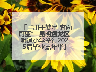 “出于繁星 奔向蔚蓝” 昆明盘龙区明通小学举行2025届毕业嘉年华