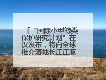 “国际小型鲸类保护研究计划”在汉发布，将向全球推介落地长江江豚保护经验