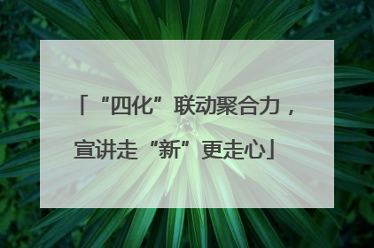 “四化”联动聚合力，宣讲走“新”更走心