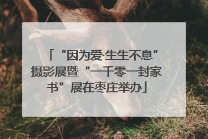“因为爱·生生不息”摄影展暨“一千零一封家书”展在枣庄举办