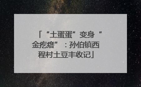 “土蛋蛋”变身“金疙瘩”：孙伯镇西程村土豆丰收记