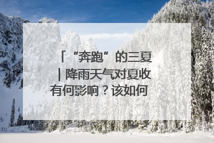 “奔跑”的三夏｜降雨天气对夏收有何影响？该如何防范？一文了解