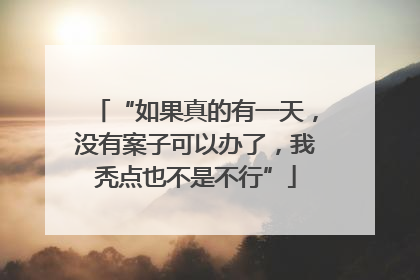 “如果真的有一天，没有案子可以办了，我秃点也不是不行”