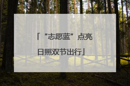 “志愿蓝”点亮日照双节出行