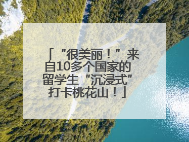 “很美丽！”来自10多个国家的留学生“沉浸式”打卡桃花山！