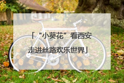 “小葵花”看西安走进丝路欢乐世界