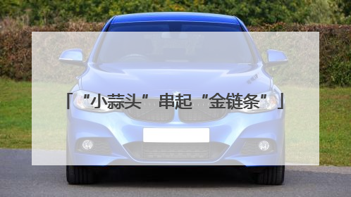 “小蒜头”串起“金链条”