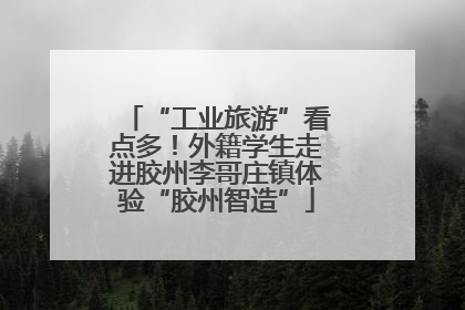 “工业旅游”看点多！外籍学生走进胶州李哥庄镇体验“胶州智造”