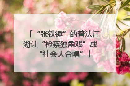 “张铁锤”的普法江湖让“检察独角戏”成“社会大合唱”