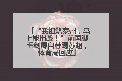 “我祖籍泰州，马上能出战！”前国脚毛剑卿自荐踢苏超，体育局回应