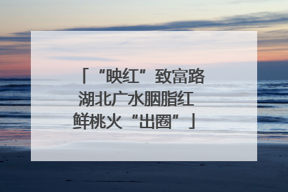 “映红”致富路 湖北广水胭脂红鲜桃火“出圈”