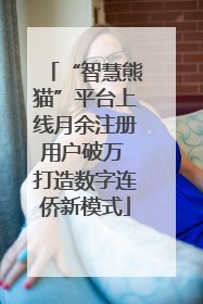 “智慧熊猫”平台上线月余注册用户破万 打造数字连侨新模式