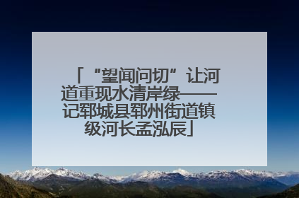 “望闻问切”让河道重现水清岸绿——记郓城县郓州街道镇级河长孟泓辰