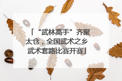 “武林高手”齐聚太仓，全国武术之乡武术套路比赛开赛