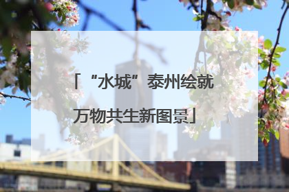 “水城”泰州绘就万物共生新图景