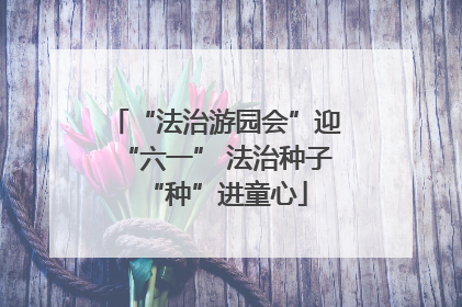 “法治游园会”迎“六一” 法治种子“种”进童心
