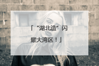 “湖北造”闪耀大湾区！