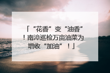 “花香”变“油香”！南漳巡检万亩油菜为增收“加油”！