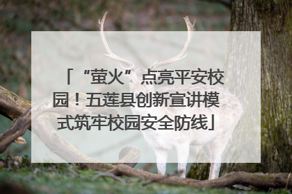 “萤火”点亮平安校园！五莲县创新宣讲模式筑牢校园安全防线