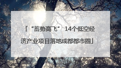 “蓄势高飞” 14个低空经济产业项目落地成都都市圈