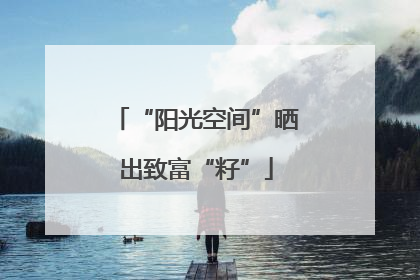 “阳光空间”晒出致富“籽”
