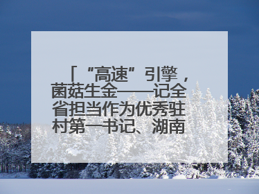 “高速”引擎，菌菇生金——记全省担当作为优秀驻村第一书记、湖南高速集团肖兴旺