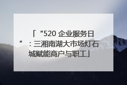 “520 企业服务日”：三湘南湖大市场灯石城赋能商户与职工
