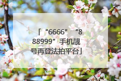 “6666”“888999”手机靓号再登法拍平台